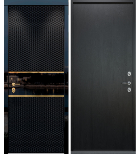 Входная металлическая дверь в частный дом RS-372