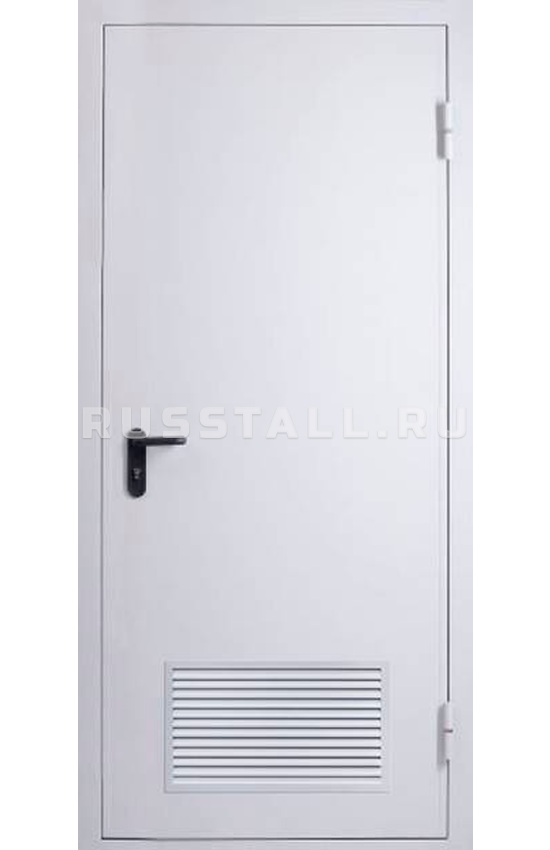 Железная техническая дверь RS110