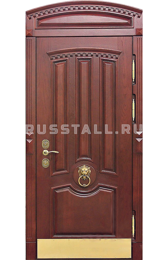 Металлическая дверь RS101