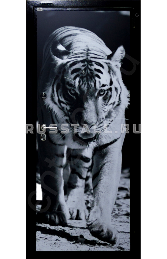 Металлическая дверь с фотопечатью RS76